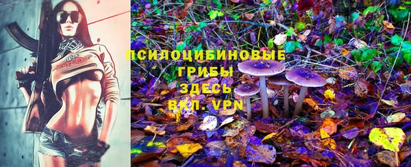 прущий лед Алзамай