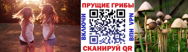 Псилоцибиновые грибы Cubensis  Апатиты 